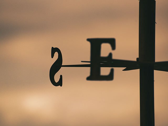 Un été en demi-teinte